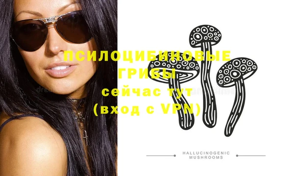 ПСИЛОЦИБИНОВЫЕ ГРИБЫ Медногорск