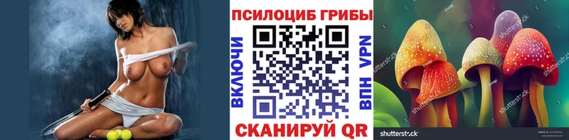 даркнет клад  Медвежьегорск  Галлюциногенные грибы GOLDEN TEACHER  OMG  
